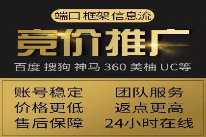 某电商平台的SEM推广策略及效果分析